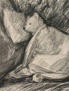 Teddy bear